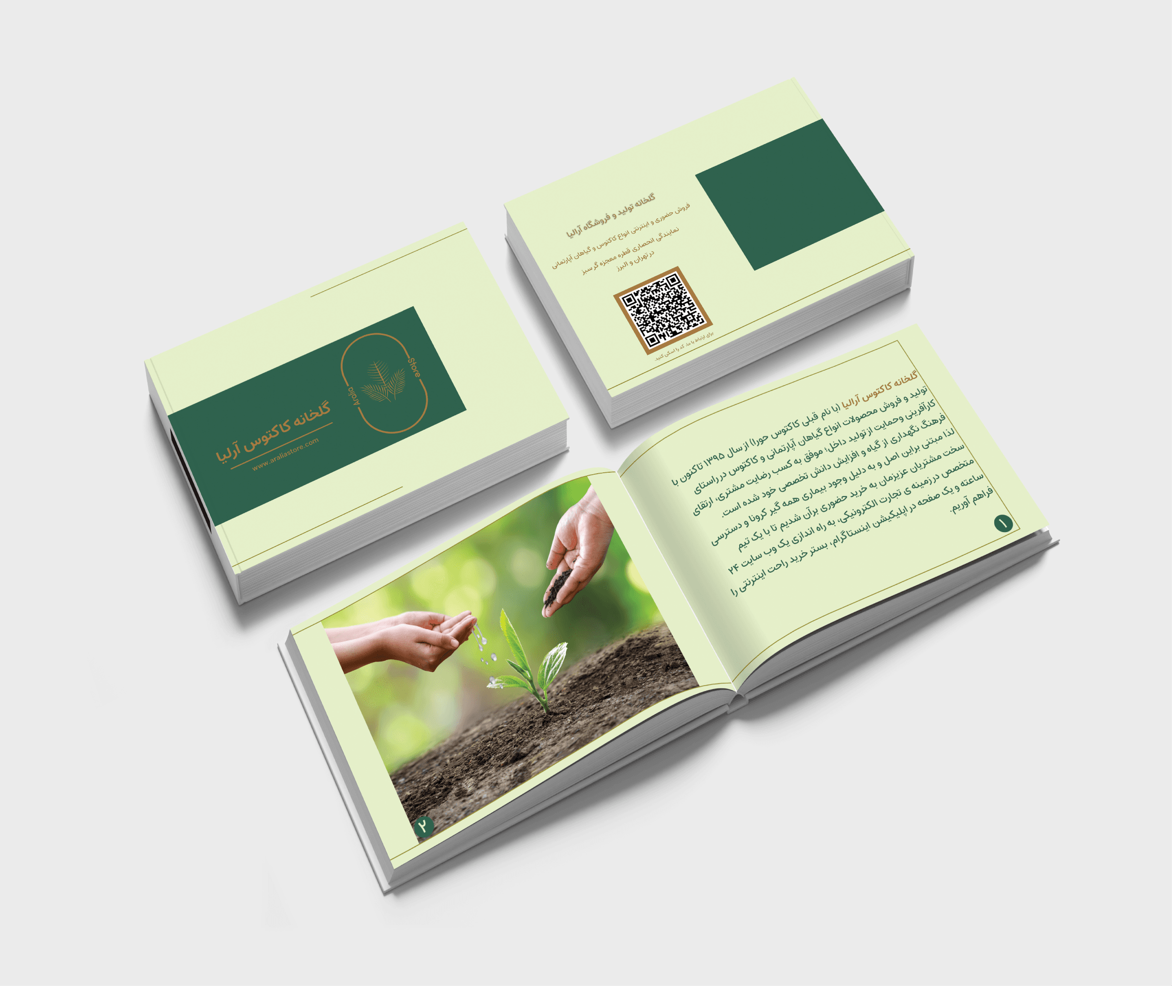Catalog & Brochure Design